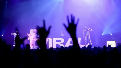 FIESTA VIRAL LIGHT